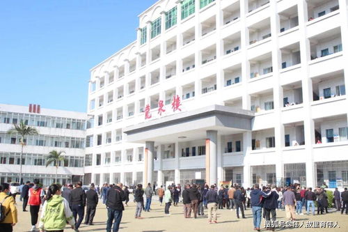 重本上線757,師生獲獎(jiǎng)242,韶關(guān)1縣中新春獻(xiàn)詞厚重夯實(shí)欲領(lǐng)跑廣東