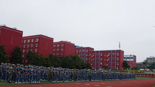 炙曬烈日磨意志 颯爽英姿展風(fēng)采 潢川縣行知高中2024級(jí)高一新生軍訓(xùn)匯演