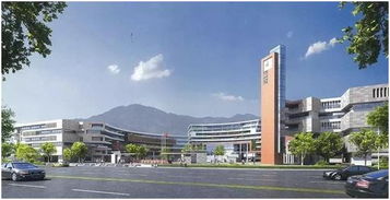 富力伯爵山 ∣ 書香縈繞,門外學府門里家