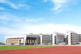 贊 甘肅38所中小學獲評全國人工智能 特色單位