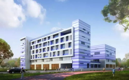 上海五區(qū)傳喜訊 新復(fù)旦系 超牛國(guó)際化 你家門口有嗎