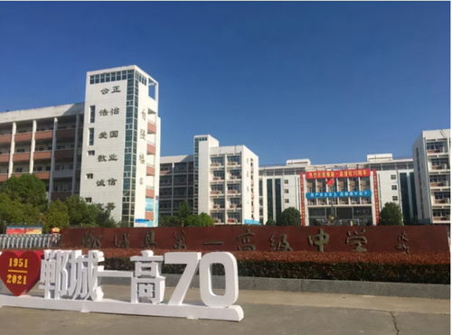 民辦中小學大規模停招, 民轉公 勢在必行,在職教師該何去何從