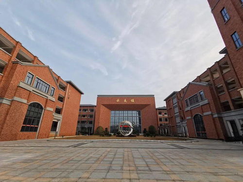 雙校同慶新春，共迎虎年吉祥